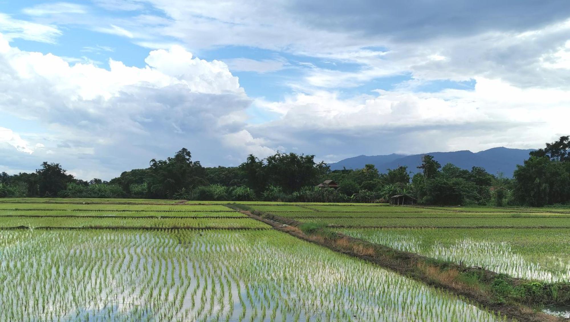 Wichouda Homestay Chiang Dao Ngoại thất bức ảnh